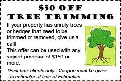 Tree Trimming Special